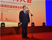 全国政协原副主席黄孟复宣布大会开幕
