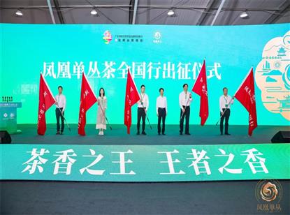 单丛茶韵千年，粤茶香满天下 | 2023潮州工夫茶大会开幕