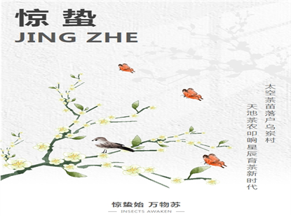 太空茶苗，落地天池茶农有机生态茶园
