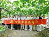 葡萄藤下，“智”趣盎然 | 诚邀您走进神农果业龙岗园，感受阳光玫瑰的科技“香甜”